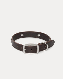 COLLAR DE PERRO CON TACHUELAS