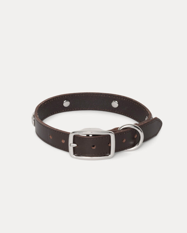 COLLAR DE PERRO CON TACHUELAS