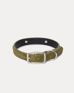 COLLAR DE PERRO CON TACHUELAS