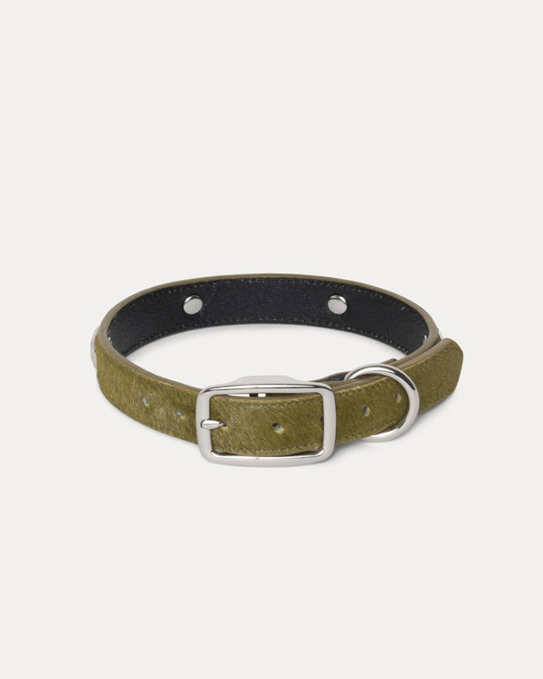 COLLAR DE PERRO CON TACHUELAS