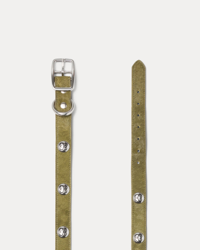 COLLAR DE PERRO CON TACHUELAS