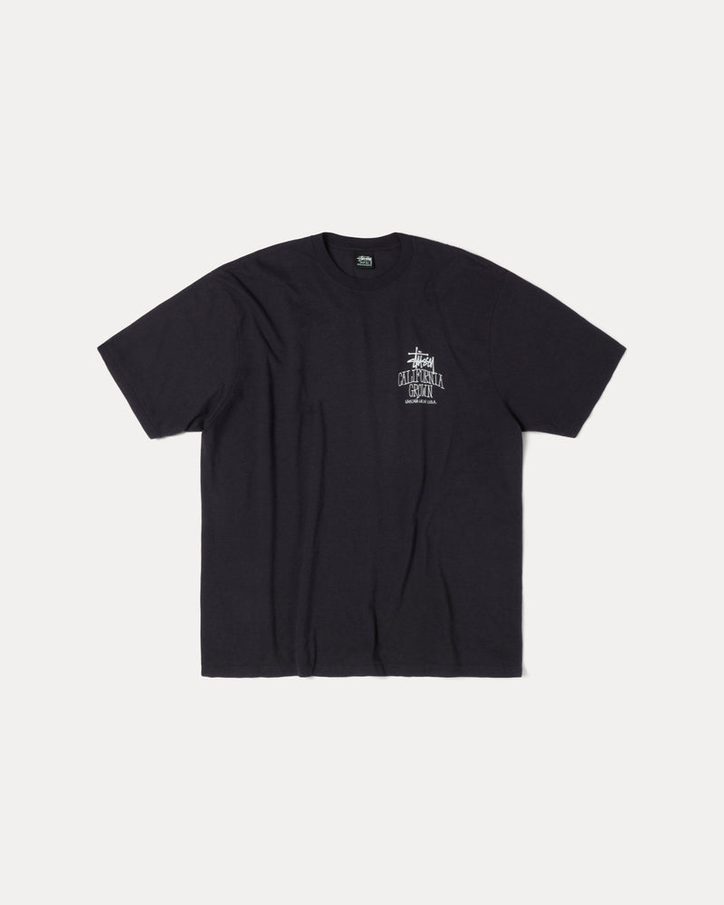 CAMISETA CULTIVADA EN CALI TEÑIDA CON PIGMENTOS