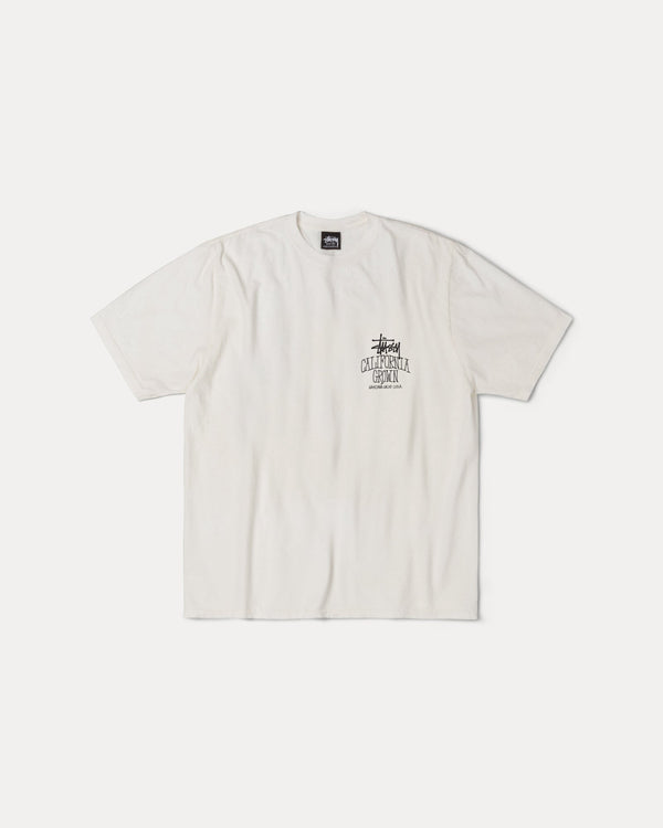 CAMISETA CULTIVADA EN CALI TEÑIDA CON PIGMENTOS